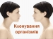 Презентація на тему «Клонування організмів»